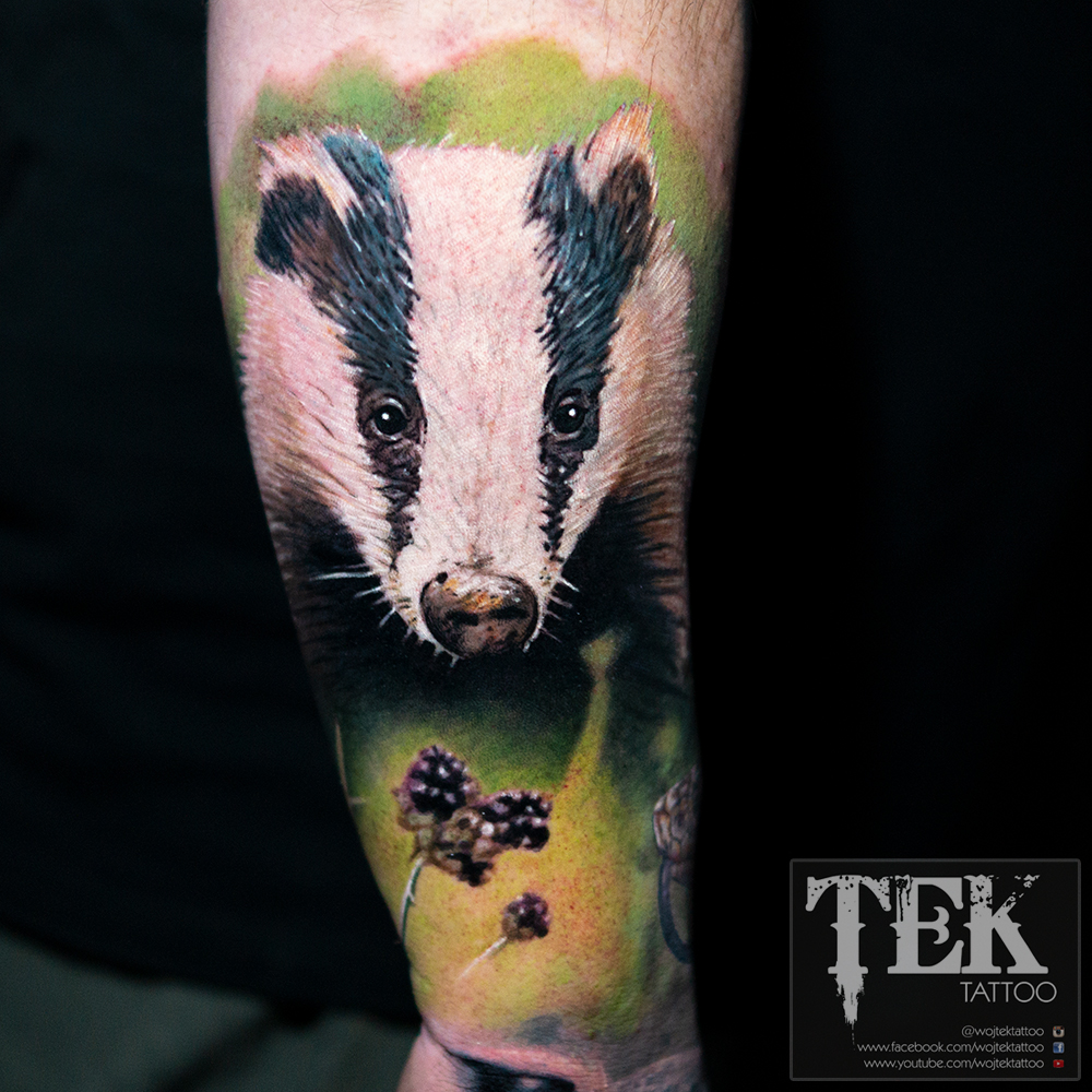 Colour badger tattoo