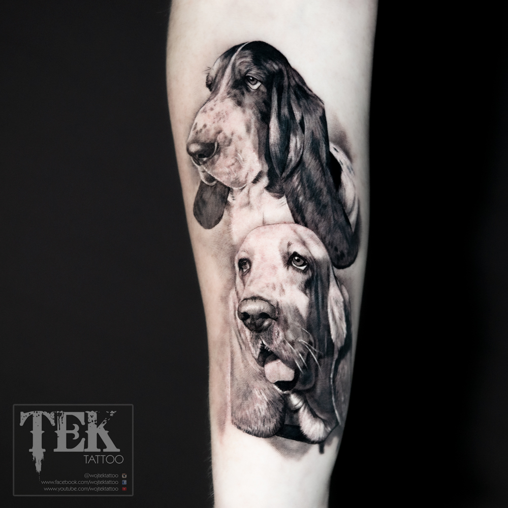 Double basset hound portrait tattoo