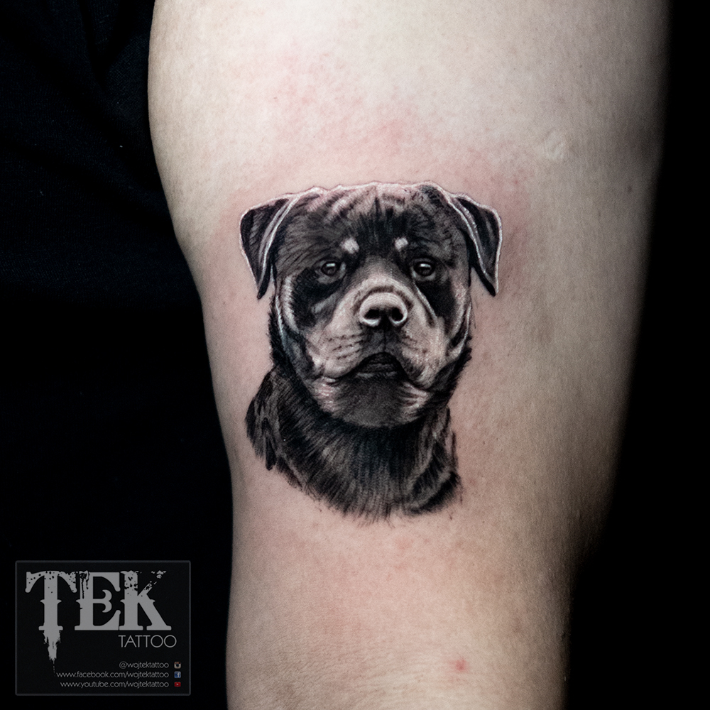 Small dog portrait tattoo
