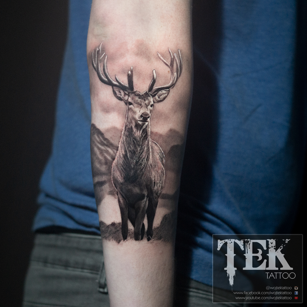 Black and grey stag